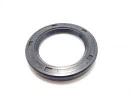 BLACKMER REPLACEMENT OIL/GREASE SEAL