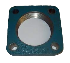 BLACKMER 2" NPT FLANGE