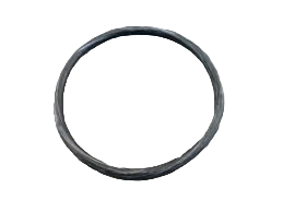 BLACKMER ROTATING / SPRING GUIDE ORING