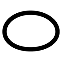 BLACKMER SPRING GUIDE ORING FOR 1" PUMPS