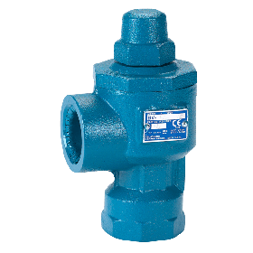 BLACKMER DIFFERENTIAL BYPASS VALVE - 3/4" - 71-100 PSI SPRING