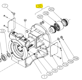 BLACKMER COUPLING ASSEMBLY FOR RC20 & RC25 EBSRAY PUMPS