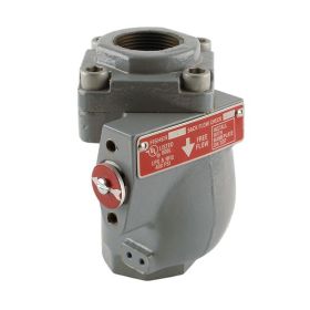 BACK CHECK VALVE HEAVY DUTY 1-1/4" FNPT WITH FLOW INDICATOR