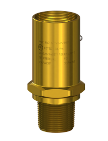 MEVS-PVE431/250 1" MNPT EXTERNAL RELIEF VALVE - 250 PSIG