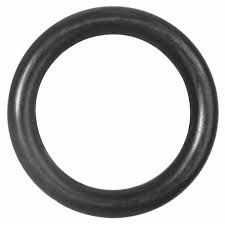 NEPTUNE STRAINER COVER O-RING FOR 1" METER