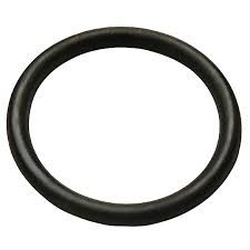 NEPTUNE O-RING GASKET FOR VAPOR RELEASE & STRAINER