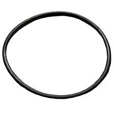 NEPTUNE VAPOR RELEASE COVER O-RING GASKET