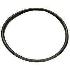 NEPTUNE MULTIPLE USE O-RING GASKET