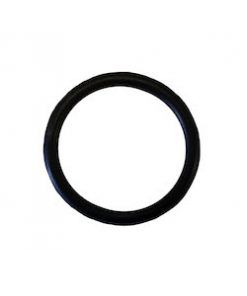 NEPTUNE THERMOSTAT COVER O-RING GASKET