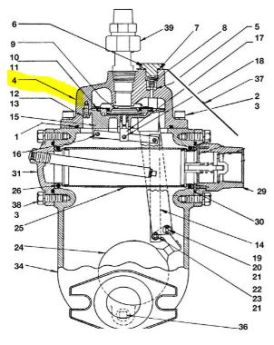 NEPTUNE VAPOR RELEASE COVER ASSEMBLY