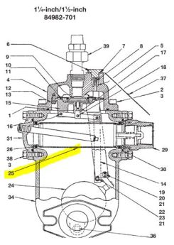 NEPTUNE STRAINER AND GASKET ASSEMBLY