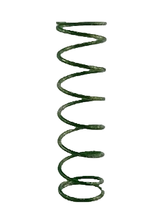 T1123727012 SPRING - GREEN