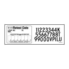 DECAL - V32 - 5-YEAR INSPECTION KIT - 18" x 6"